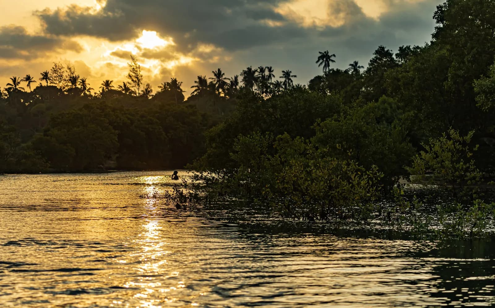 Diani Beach, Mombasa Sunset cruise on the Kongo River.